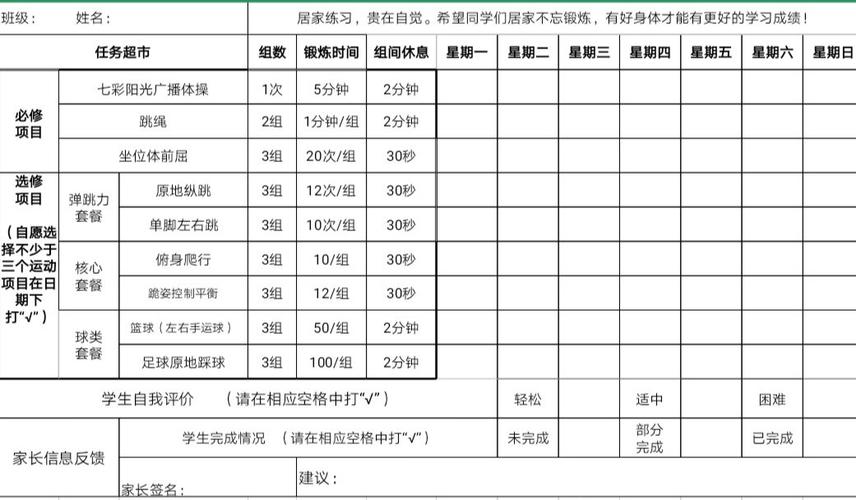 体育单元作业计划