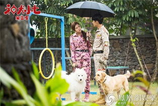 神犬小七电影叫什么 神犬小七电影叫什么