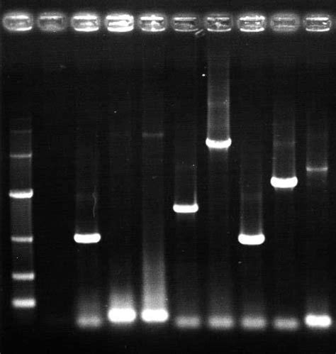 汉恒生物科技上海有限公司天眼查 汉恒生物科技上海有限公司天眼查