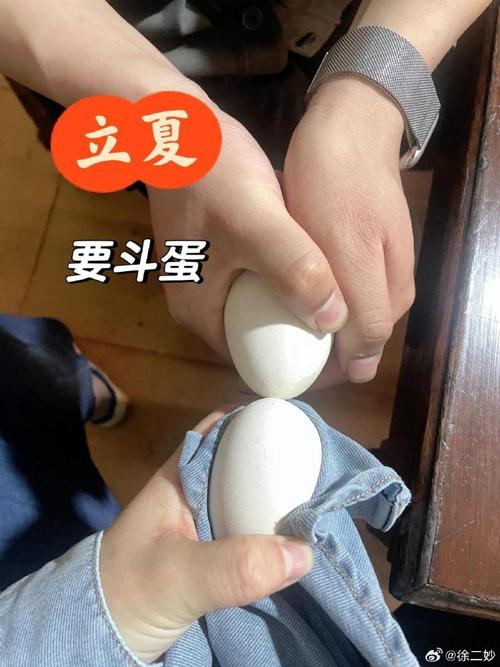 青春夜曲掼蛋与躲猫猫的交响 青春夜曲掼蛋与躲猫猫的交响