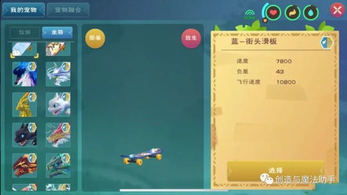 我们的星球星球创建码 我们的星球星球创建码