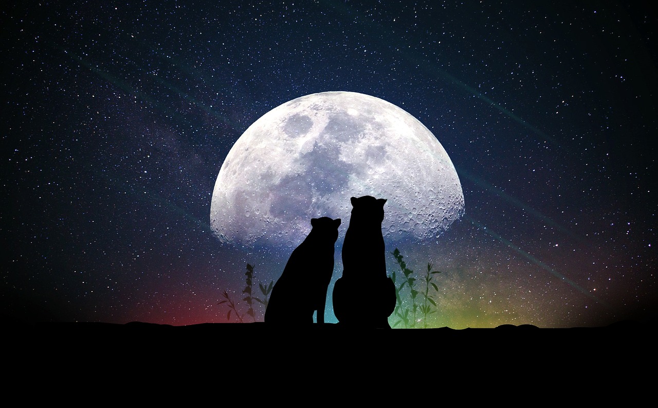 探索指尖的奇幻世界,2023年最值得下载的十大网络游戏全解析 探索指尖的奇幻世界,2023年最值得下载的十大网络游戏全解析